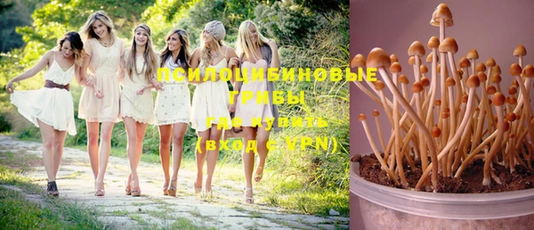 герыч Елабуга