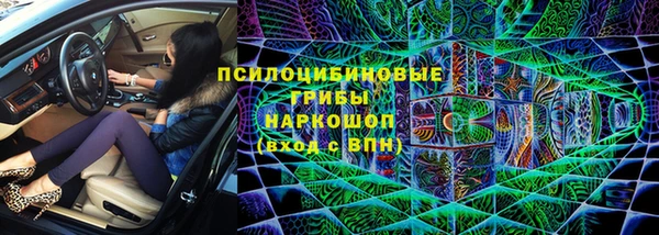 крисы Заводоуковск